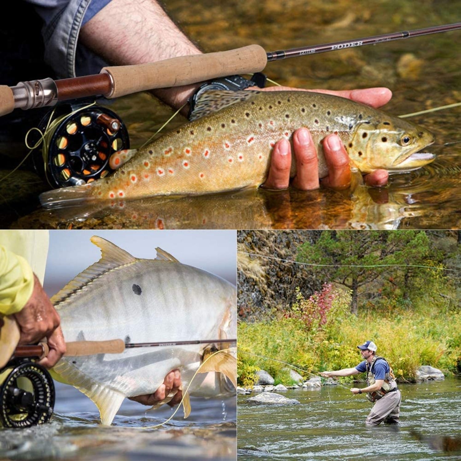 Goture(ゴチュール) フライロッド 4ピース 9フィート 山岳渓流用 管理釣り場 釣り竿 カーボン製 トラウト 超軽量 フライフィッシングロッド 持ち運び便利 収納バッグ付き