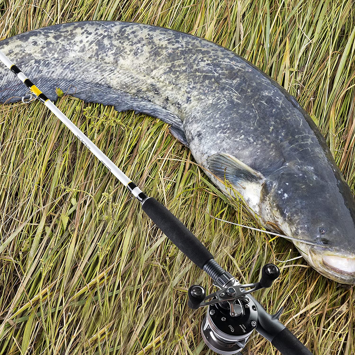 RAIDERR 2ピース ナマズ キャスティング ロッド